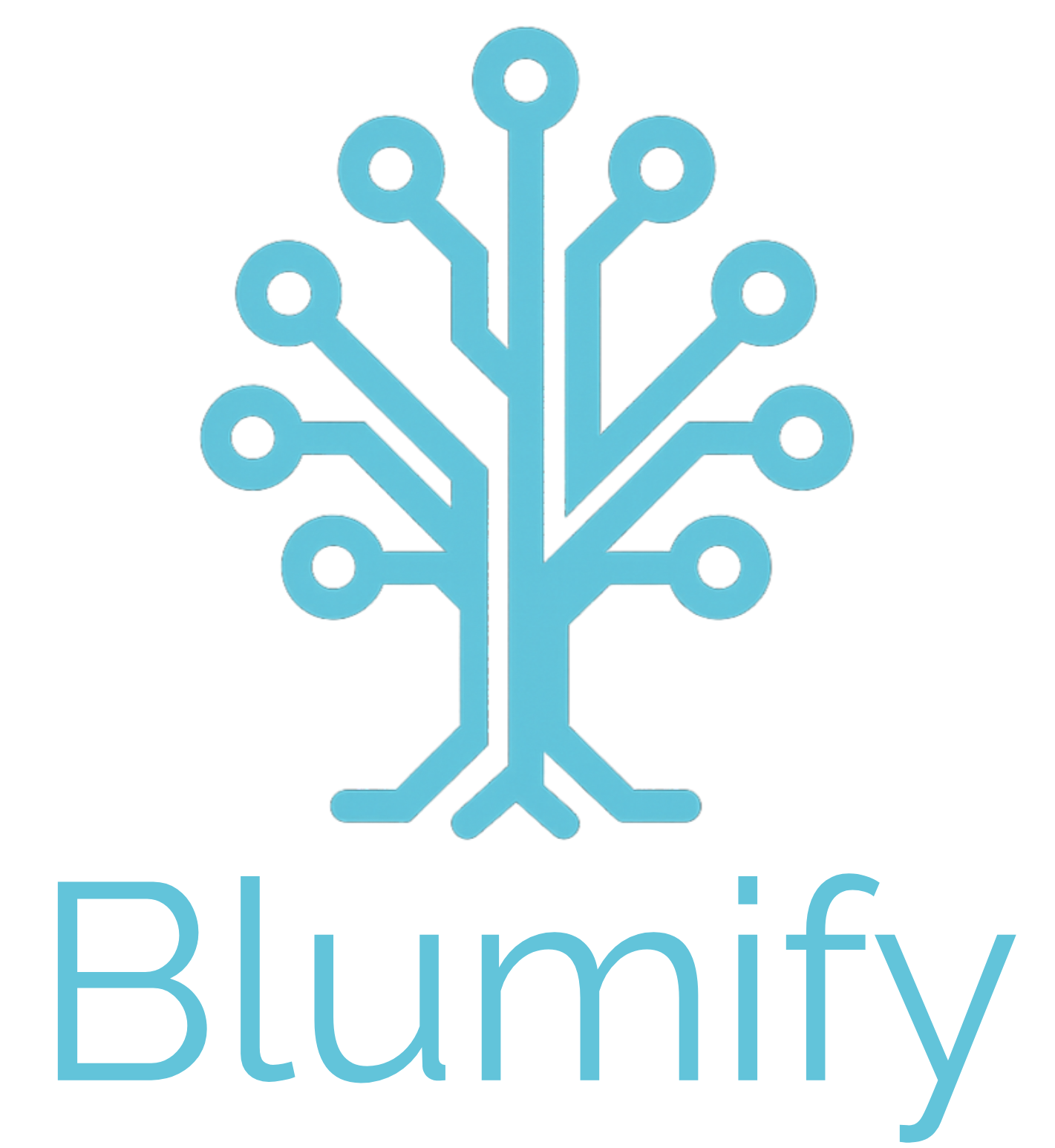 Blumify logo